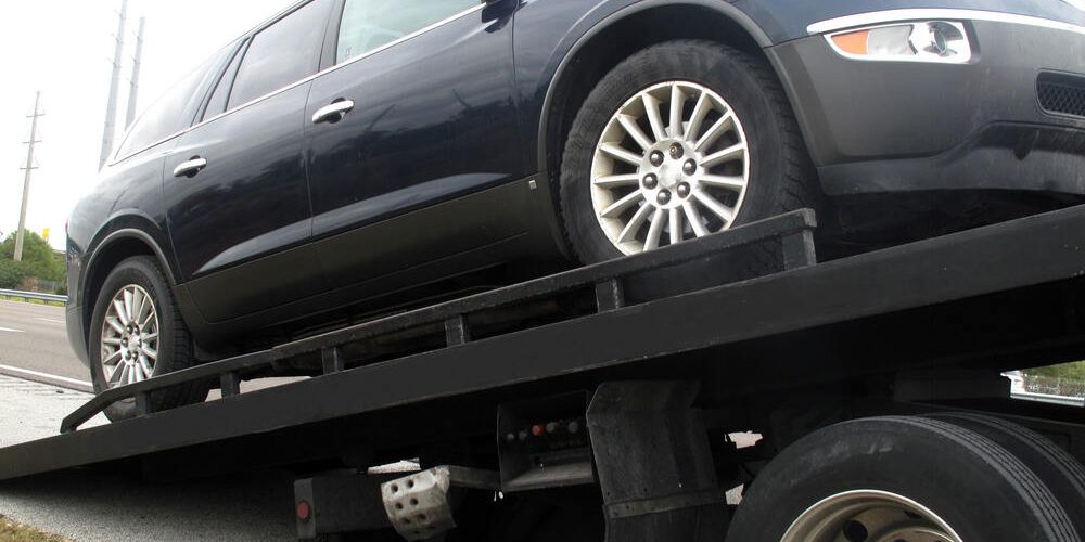 Road Dawg Transport Llc (4)